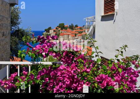 Panoramablick über die wunderschöne Insel (derzeit das 5-Sterne-Hotel Resort Aman Sveti Stefan) von Sveti Stefan, Montenegro Stockfoto