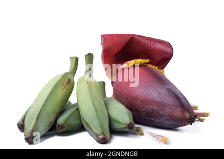 Eschenbananen oder grüne rohe Banane mit Bananenblüte auch als Bananenblüte bekannt, Gemüse isoliert auf weißem Hintergrund, Nahaufnahme Stockfoto