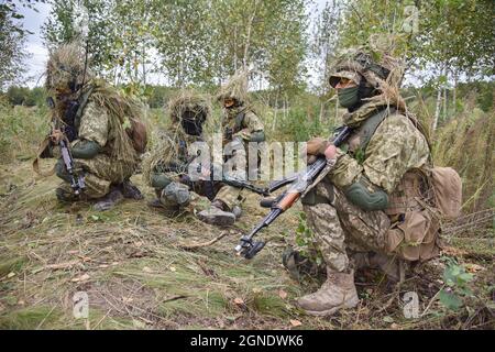 Lviv, Ukraine. September 2021. Ukrainisches Militär, das während der internationalen Militärübungen „Rapid Trident - 2021“ im Gras verkleidet wurde, auf dem Territorium des Internationalen Zentrums für Friedenssicherung und Sicherheit der Nationalen Akademie der Landstreitkräfte, benannt nach Hetman Petro Sahaidachny, Ukrainisch-amerikanische Kommando- und Stabsübungen mit Truppen "Rapid Trident - 2021" finden statt, die am 20. September begonnen haben und bis zum 1. Oktober 2021 dauern werden. An den Übungen nehmen Soldaten aus 15 Ländern Teil (Ukraine, USA, Deutschland, Bulgarien, Georgien, Italien, Polen, Rumänien, Großbritannien und andere Stockfoto