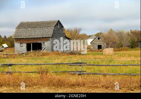 Alte Holzscheune, Schuppen und Zaun, auf einem Teil eines alten Bauernhofes im Herbst mit hohem Gras vor der Scheune, während Buschbäume im Hintergrund sind. Stockfoto