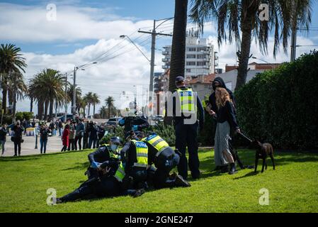 Melbourne, Australien. September 2021. 25. September 2021, Melbourne, Australien. Die Polizei verhaftete einen potenziellen Anti-Blockierung-Protestler in St. Kilda, bevor eine geplante Kundgebung stattfinden sollte. Kredit: Jay Kogler/Alamy Live Nachrichten Gutschrift: Jay Kogler/Alamy Live Nachrichten Stockfoto