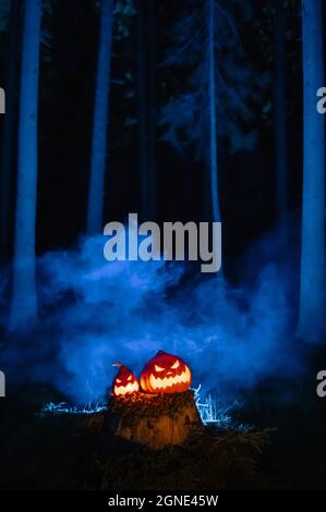 Kürbisse mit geschnitzten gruseligen Gesichtern in einem düsteren Wald in blauem Rauch. Stockfoto