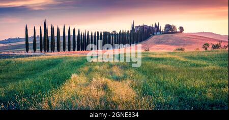 Klassischer Blick auf die Toskana mit Bauernhaus und Zypressen. Farbenfrohe Sonnenuntergänge im Sommer in der italienischen Landschaft, im Val d'Orcia-Tal und in San Quirico d'Orcia-Lage. Stockfoto