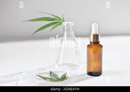 Amber Glasflasche mit Tropf und Hanfblättern in Petrischale und in Laborglas. Cannabisöl in der Dermatologie und Kosmetologie. Ätherisches Cannabisöl für die Hautpflege Stockfoto