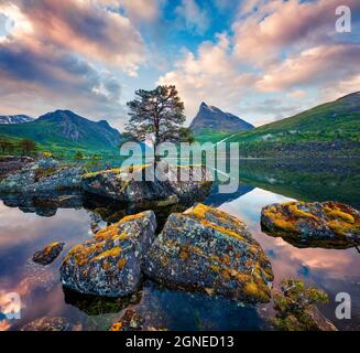 Fantastischer Sommeraufgang auf dem Innerdalsvatna See. Bunte Morgenszene in Norwegen, Europa. Schönheit der Natur Konzept Hintergrund. Künstlerische Stil Pos. Stockfoto