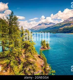 Kleine Insel am Sils See. Malerische Morgenlandschaft der Schweizer Alpen, Malojapass, Oberengadin im Kanton Graubünden, Schweiz, Europa. Bea Stockfoto