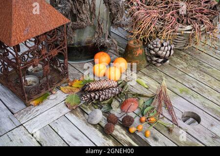 Stillleben mit Herbstfarben, Mandarinen, Tannenzapfen, verwelkten Blättern auf einem Holztisch Stockfoto