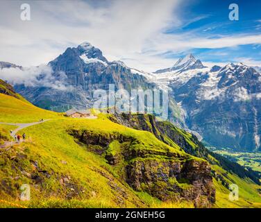 Toller Sommerblick vom Gipfel der ersten Seilbahn Grindelwald. Schreckhorn Berg im Morgennebel, Grindelwald Dorflage, Schweizer Berner Al Stockfoto