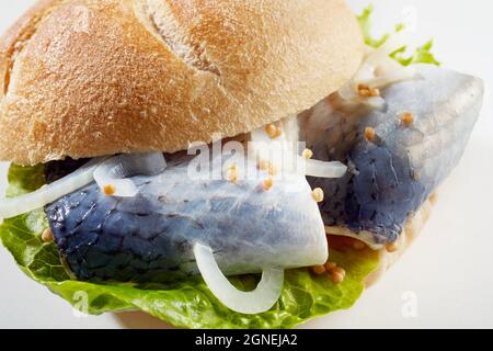 Nahaufnahme von köstlichen deutschen Fischbrotchen mit knusprigem Brötchen und gefüllt mit mariniertem Hering mit Zwiebeln und Salat Stockfoto