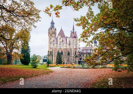 MOSZNA, POLEN - 24. OKTOBER 2017 ; das Schloss Moszna, erbaut im 17. Jahrhundert, erweitert von 1900 bis 1914, ist ein historischer Palast in Moszna, Stockfoto