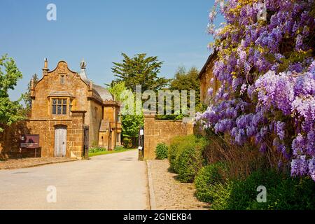 Eine farbenfrohe Wisteria in Blüte neben den Toren des Montacute House, einem elisabethanischen Herrenhaus mit Garten in der Nähe von Yeovil, Somerset, England, Großbritannien Stockfoto