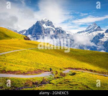 Sonniger Sommerblick vom Gipfel der ersten Seilbahn Grindelwald. Schreckhorn Berg im Morgennebel, Grindelwald Dorflage, Schweizer Berner Al Stockfoto