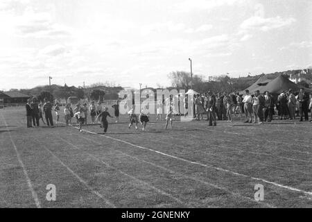 Historische 1950er Jahre, Eltern und Lehrer beobachten, wie kleine Kinder an einem Laufrennen teilnehmen, dem 100-Meter-Rennen, draußen auf einem Grasfeld an einem Grundschule-Sporttag, England, Großbritannien. Stockfoto