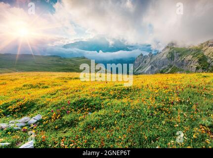 Farbenfrohe Sommeransicht des Nationalparks Tre Cime De Lavaredo. Beeindruckender Sonnenuntergang in den Dolomiten, Südtirol, Auronzo-Lage, Italien, Europa. Schönheit o Stockfoto