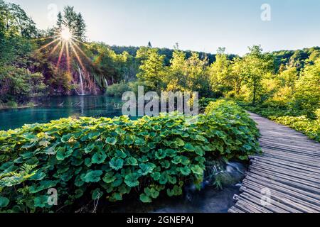 Attraktive Morgenansicht des Plitvice National Park. Bunte Frühlingsszene von grünem Wald. Schöne Landschaft von Kroatien, Europa. Travelin Stockfoto