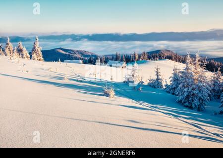 Erstes Sonnenlicht glühende Berge und Täler in den Karpaten. Sonniger Wintersonnenaufgang auf einer Bergfarm mit schneebedeckten Tannenbäumen. Frohes neues Jahr ce Stockfoto