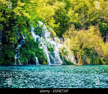 Herrliche Aussicht auf den Plitvice Nationalpark am Morgen. Farbenfrohe Frühlingsszene mit grünem Wald und reinem Wasserfall. Große Landschaft von Kroat Stockfoto