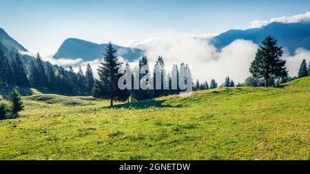 Buntes Sommerpanorama des Triglav Nationalparks, Lage am Bohinj See. Neblige Morgenansicht der Julischen Alpen, Slowenien, Europa. Schönheit der Natur Konzept Stockfoto