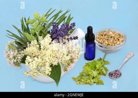 Kräuter und Blüten von Baldrian, Lavendel, Kamille und Holunder blühen in einem Mörser mit ätherischer Ölflasche. Wird in pflanzlicher Kräutermedizin verwendet. Stockfoto