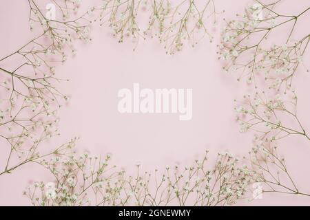 Rahmen mit Gypsophila Baby s Atem Blumen rosa Hintergrund gemacht. Hohe Qualität und Auflösung schönes Fotokonzept Stockfoto
