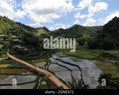 Schönes Reisfeld in der Provinz Hoa Binh im Norden Vietnams Stockfoto