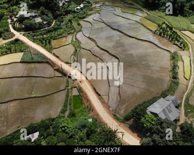 Schönes Reisfeld in der Provinz Hoa Binh im Norden Vietnams Stockfoto