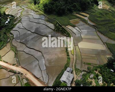 Schönes Reisfeld in der Provinz Hoa Binh im Norden Vietnams Stockfoto