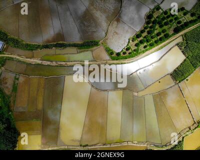 Schönes Reisfeld in der Provinz Hoa Binh im Norden Vietnams Stockfoto