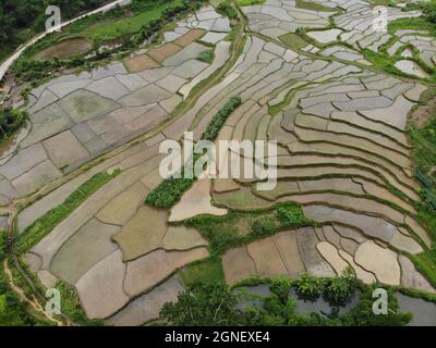 Schönes Reisfeld in der Provinz Hoa Binh im Norden Vietnams Stockfoto