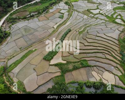 Schönes Reisfeld in der Provinz Hoa Binh im Norden Vietnams Stockfoto