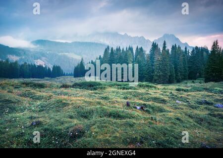 Dramatischer Sommeraufgang mit Cresta di Enghe Bergkette im Hintergrund. Neblige Morgenansicht der Dolomitenalpen, Italien, Europa. Schönheit der Natur concep Stockfoto