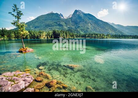 Schöne Sommerszene am Hintersee. Farbenfrohe Morgenansicht der bayerischen Alpen an der österreichischen Grenze, Deutschland, Europa. Schönheit der Natur Konzept bac Stockfoto