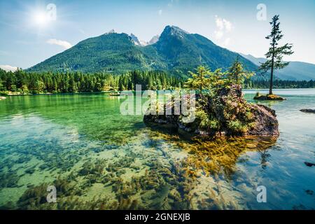 Herrliche Sommerszene am Hintersee. Farbenfrohe Morgenansicht der bayerischen Alpen an der österreichischen Grenze, Deutschland, Europa. Schönheit der Natur Konzept zurück Stockfoto