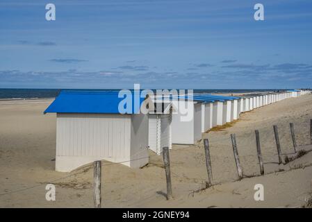 Texel, Niederlande. August 2021. Die Strandhäuser liegen am Strand der Watteninsel Texel. Hochwertige Fotos Stockfoto