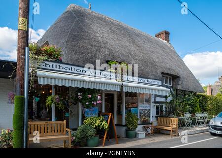 Chilbolton Village Shop und Tea Room, kleines Unternehmen in einem traditionellen reetgedeckten Cottage-Gebäude, Chilbolton, Hampshire, England, Großbritannien Stockfoto