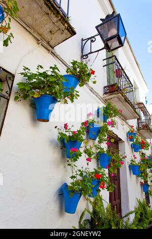 Haus in der Altstadt von Cordoba mit Blumentöpfen dekoriert, Spanien Stockfoto