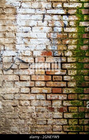 Alte Ziegelmauer mit Moos - grunge Hintergrund Stockfoto