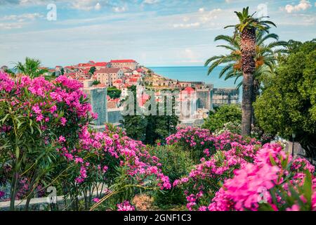 Farbenfrohe Morgenansicht des berühmten Fort Bokar in der Stadt Dubrovnik. Aufregendes Sommer-Stadtbild von Kroatien, Europa. Schöne Welt der mediterranen Gräfin Stockfoto