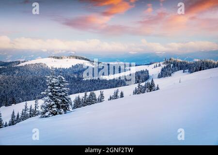 Dramatische winter Sonnenaufgang in den Karpaten mit verschneiten Tannen. Bunte outdoor Szene, Frohes Neues Jahr feier Konzept. Künstlerische styl Stockfoto