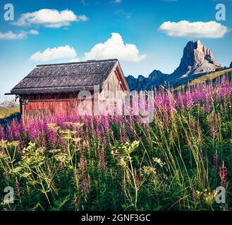 Faszinierende Morgenansicht der Nuvolau-Berggruppe vom Passo di Giau. Farbenfrohe Sommerszene der Dolomiti Alpen, Cortina d'Ampezzo Lage, Südtirol Stockfoto