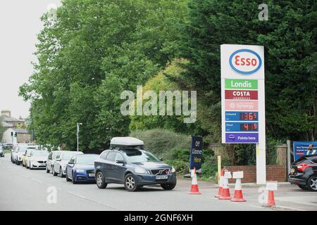 Hertford, Großbritannien. September 2021. Kraftstoffmangel in Großbritannien. Vor einer Tankstelle (Esso) in Hertford bilden sich lange Schlangen. Andrew Steven Graham/Alamy Live News Stockfoto