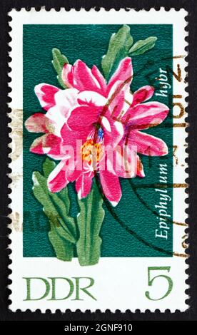 DDR - UM 1970: Eine in der DDR gedruckte Briefmarke zeigt Epiphyllum, Flowering Cactus Plant, um 1970 Stockfoto