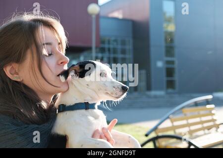 Junge Frau, die auf einer Bank in der Stadt sitzt und Jack russel Terrier hält. Frau küsst das Ohr des Hundes, während er zur Seite schaut. Glücklicher Tierbesitzer, der im Freien im Sonnenlicht ruht Stockfoto