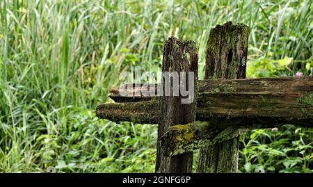 Nahaufnahme eines alten Holzzauns vor einem Bach mit hohen Rohrkäfelpflanzen und Vegetationswachstum im Hintergrund. Stockfoto