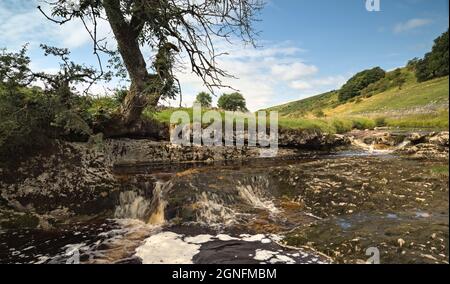 Wasserfälle am River Wharfe in der Nähe der Deepdale Bridge von Yokenthwaite nach Beckermonds Road Langstrothdale Craven Yorkshire Dales Stockfoto