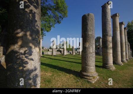Archäologische Stätte von Altilia: Überreste von Säulen, die anzeigen, wo die Basilika einst stand. Molise, Italien Stockfoto