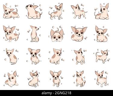 Cute Cartoon Vektor Illustration Icon Set von Chihuahua Welpen Hunde. Es ist flaches Design. Stock Vektor