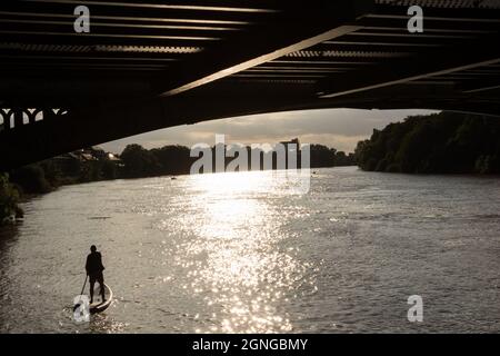 Eine Silhouette eines einspurigen Paddelboarders, der stromaufwärts auf der Themse unter der Barnes Railway Bridge im Südwesten Londons, England, Großbritannien, paddelt Stockfoto