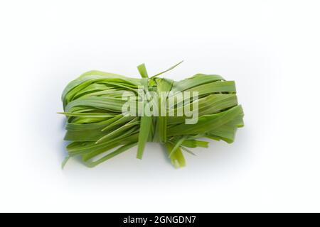 Ein grünes Gras gesammelt und vorbereitet, isoliert auf weißem Hintergrund Stockfoto