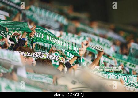 Fans Fürth im Spiel SpVgg GREUTHER FÜRTH - FC BAYERN MÜNCHEN 1-3 1.Deutsche Fußballliga am 24. September 2021 in Fürth, Deutschland. Saison 2021/2022, Spieltag 7, 1.Bundesliga, FCB, München, 7.Spieltag. © Peter Schatz / Alamy Live News - die DFL-VORSCHRIFTEN VERBIETEN DIE VERWENDUNG VON FOTOS als BILDSEQUENZEN und/oder QUASI-VIDEO - Stockfoto